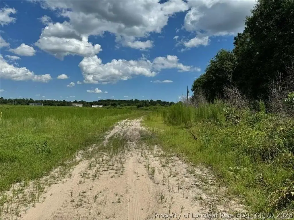 Picture 4