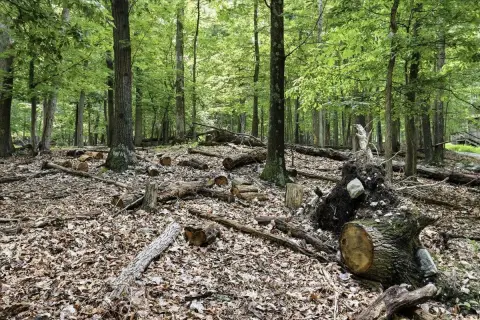 Gently Sloped Recreational Land