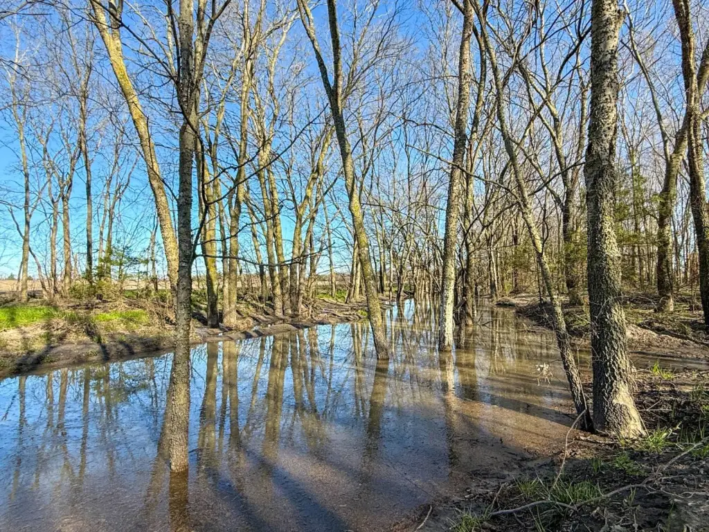 Picture 13