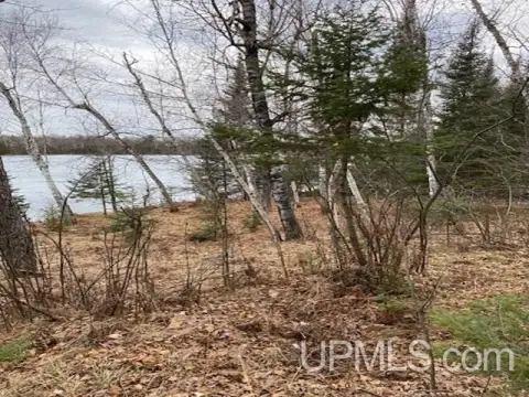 Lakefront Lot in Crystal Falls