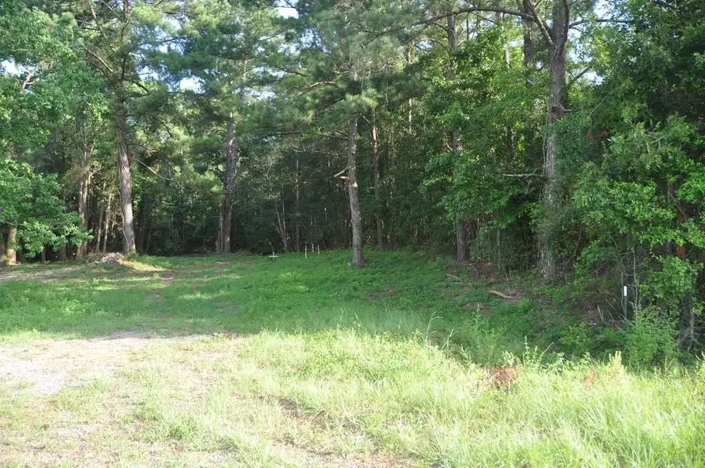 Picture 2