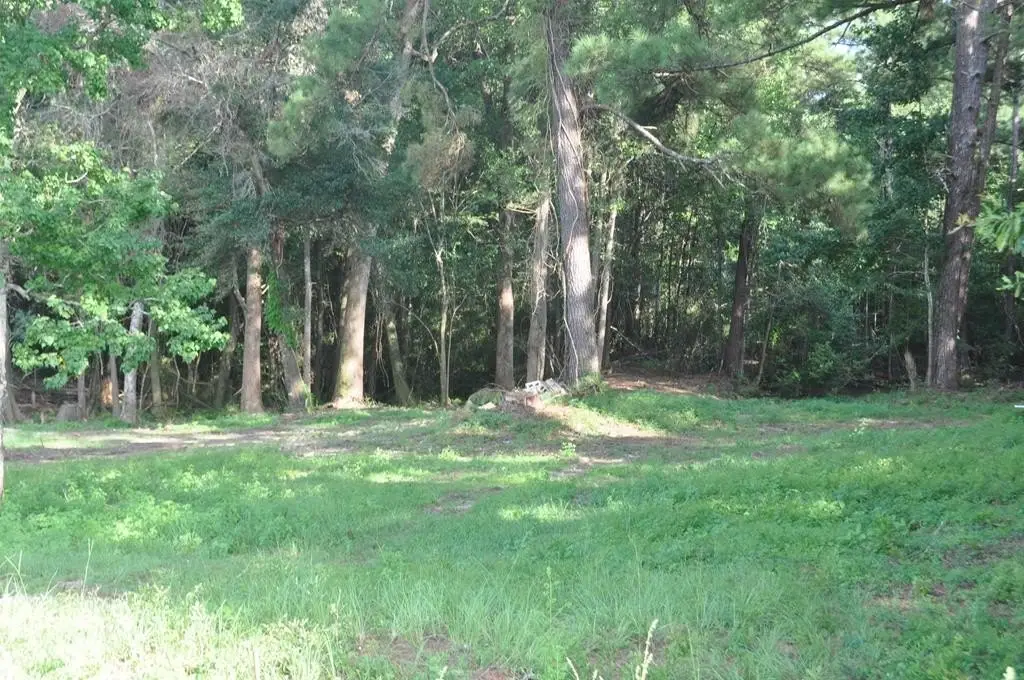 Picture 4