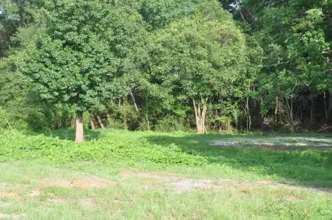 Commercial Lot with Road Frontage