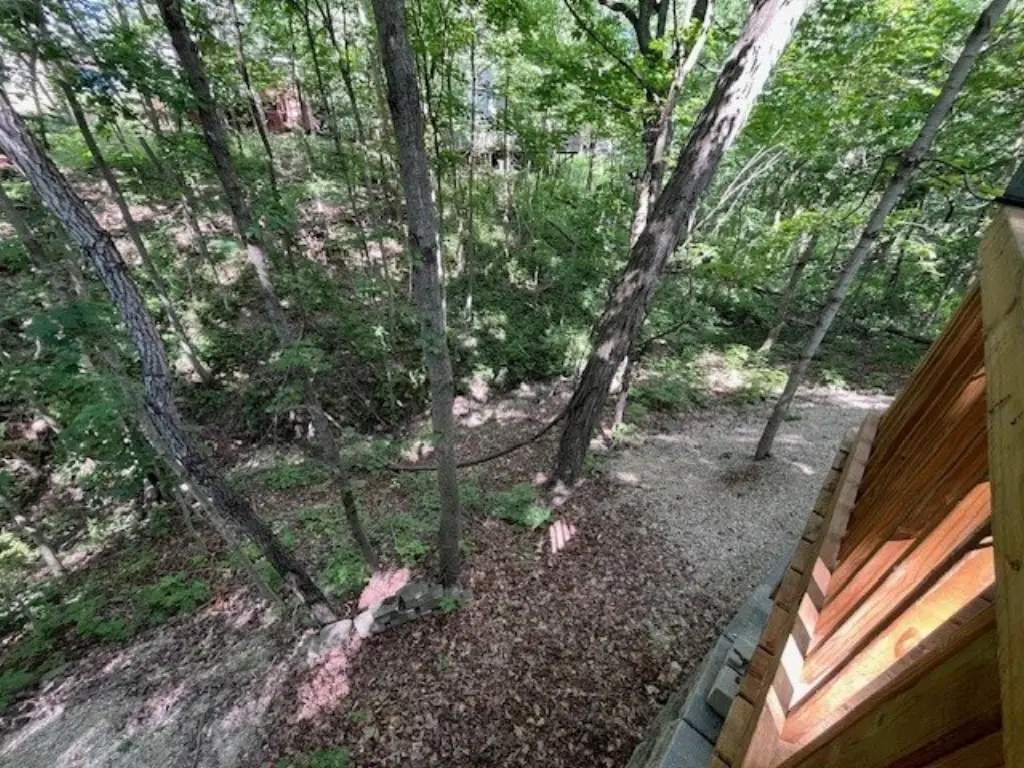 Picture 28