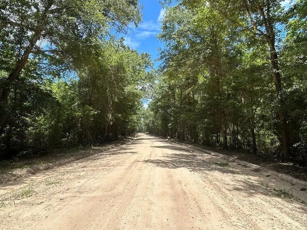 Picture 11