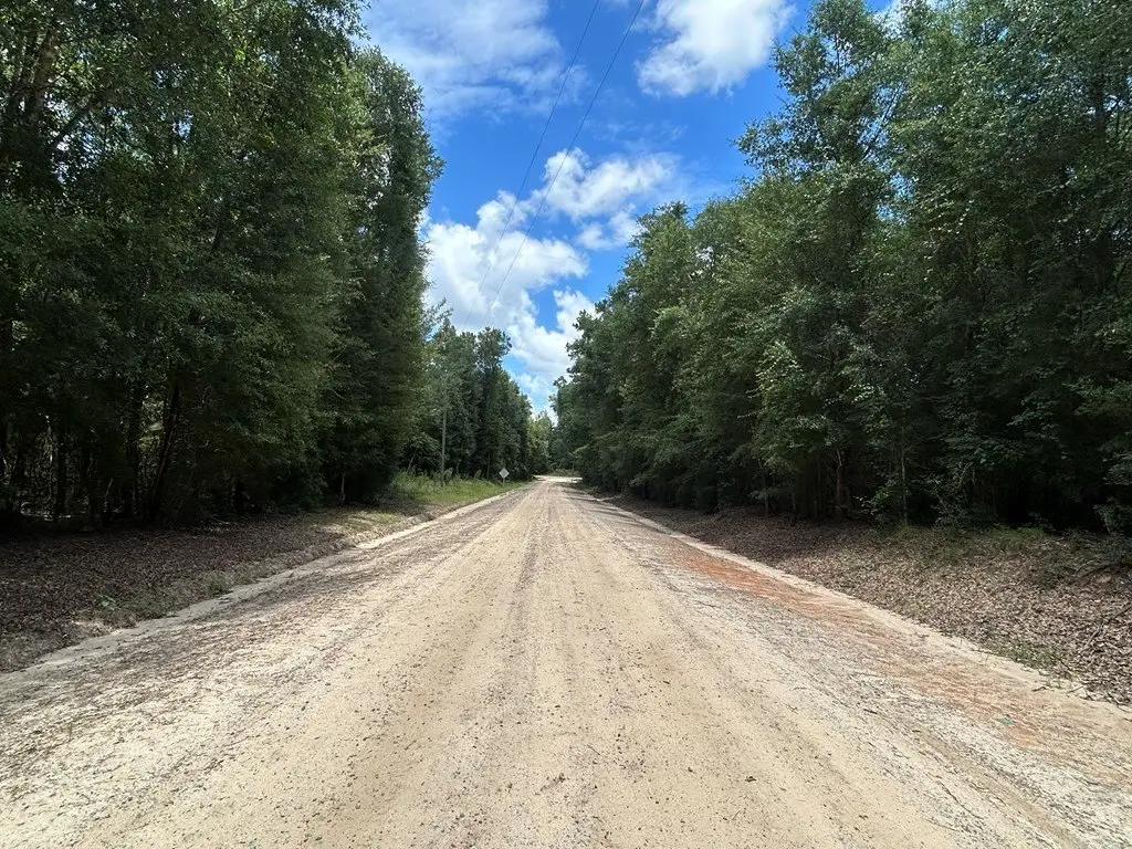 Picture 19