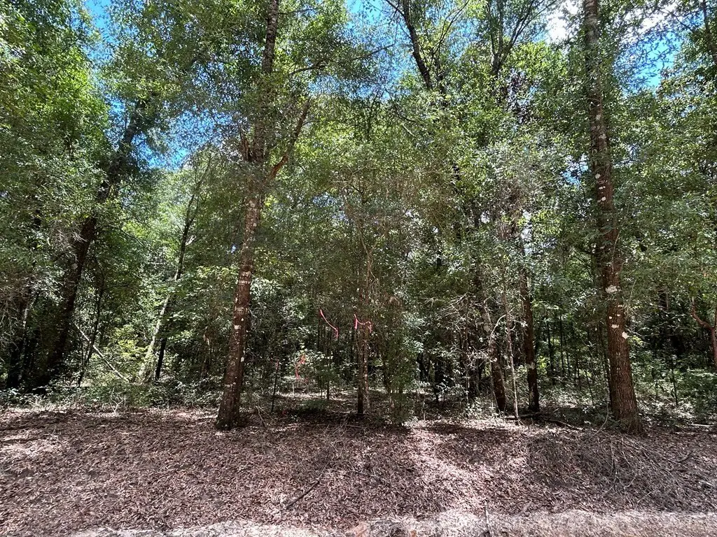 Picture 16