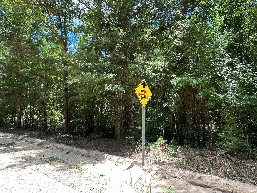 Picture 10