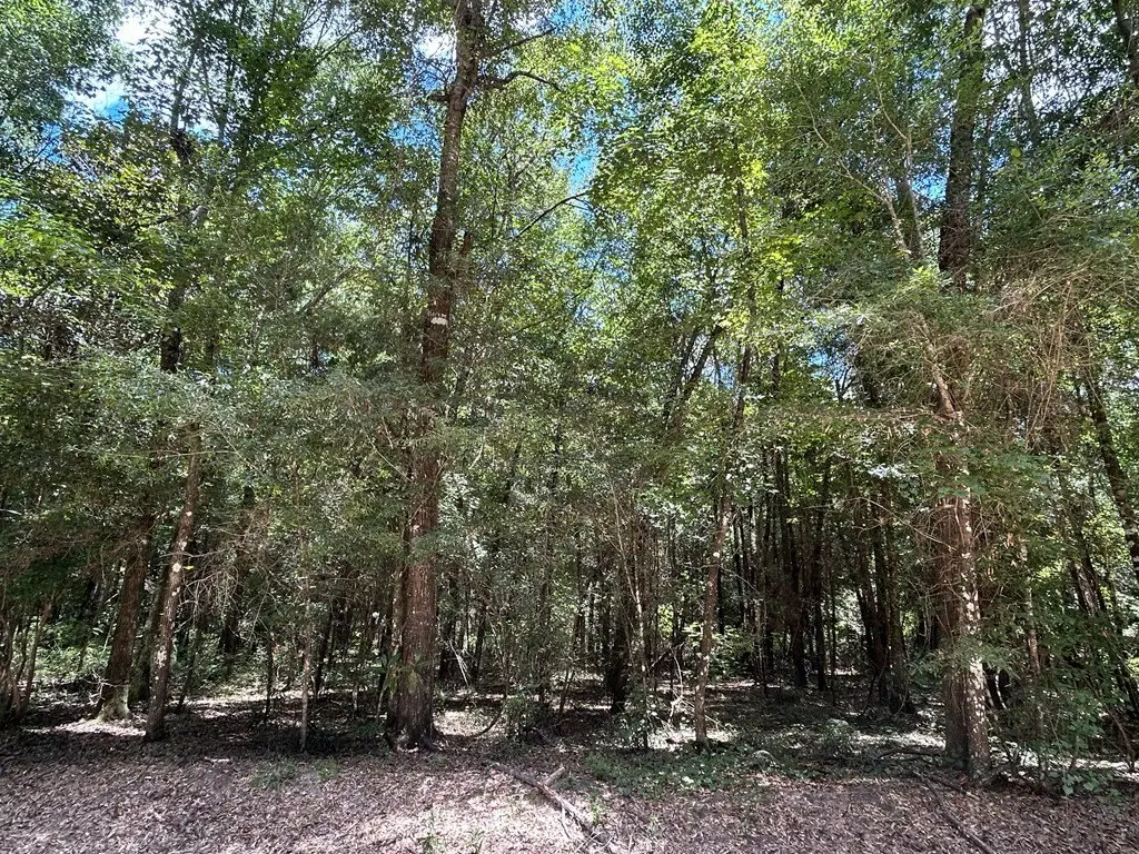 Picture 15