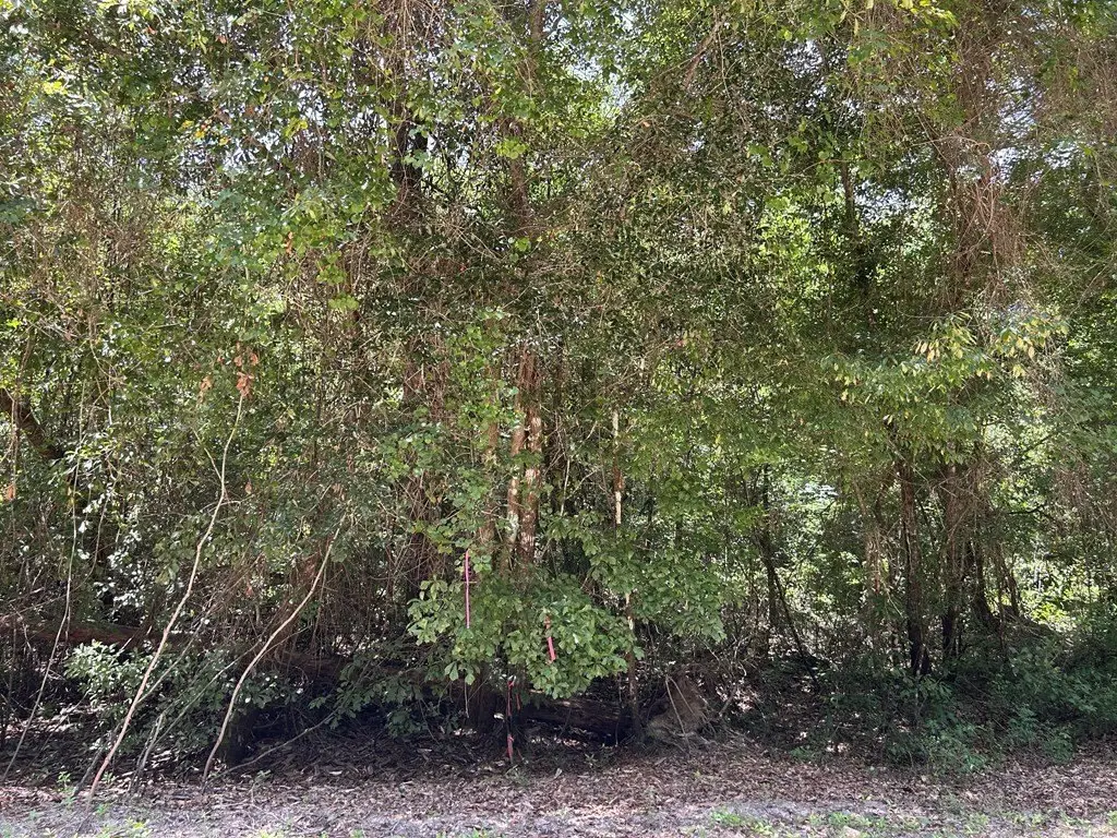 Picture 26