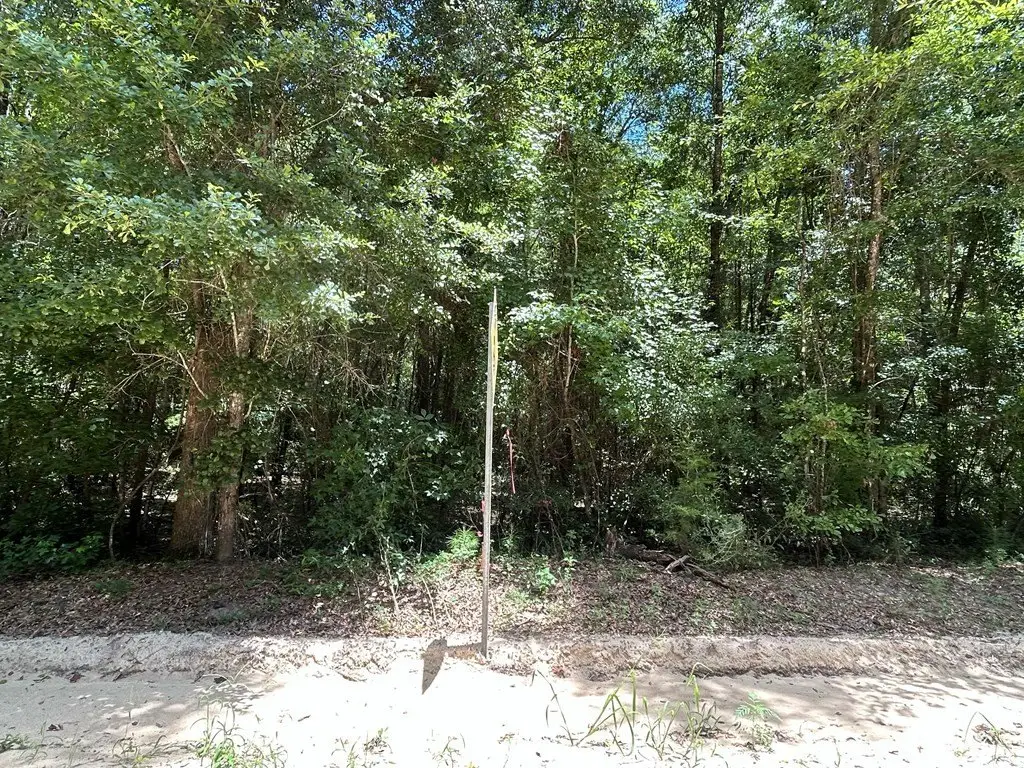 Picture 9