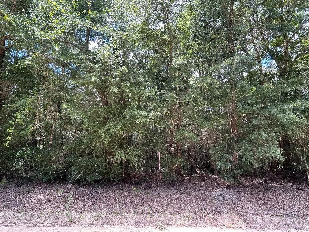 Picture 18