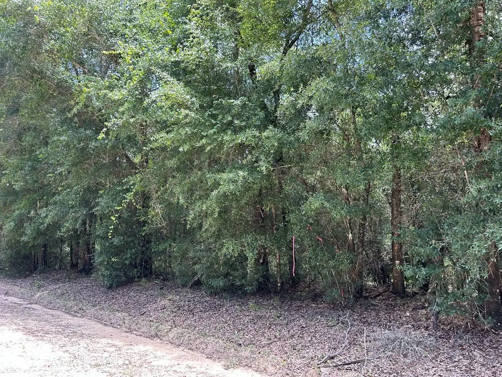 Picture 20