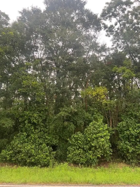 Picture 5