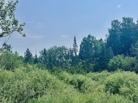 28.75 Acres Wooded Land, Iron