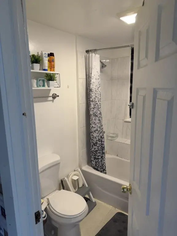 Picture 7