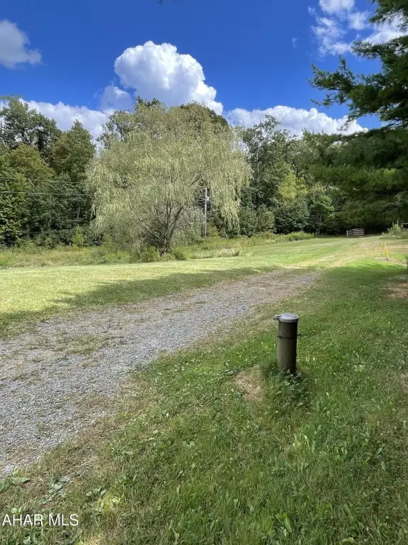 Picture 11