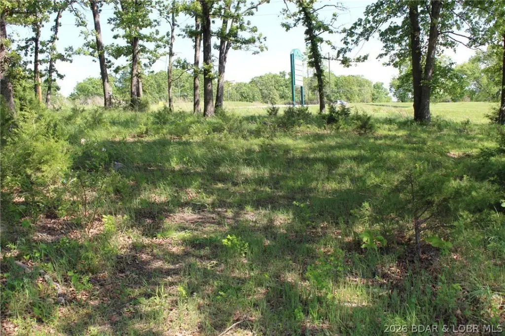 Picture 12
