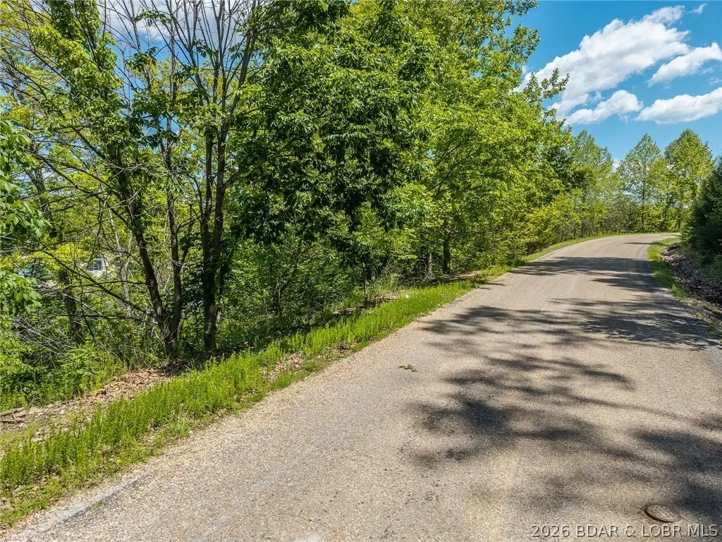 Picture 23