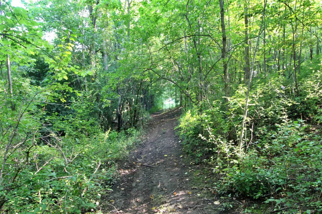 Picture 6