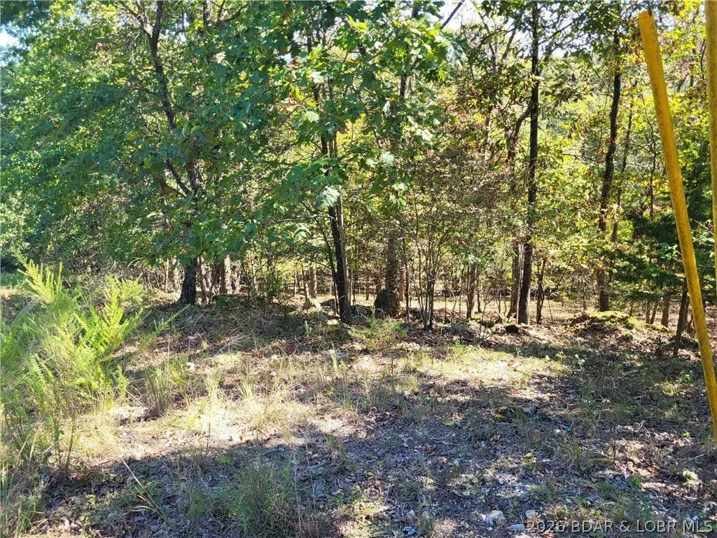Picture 9