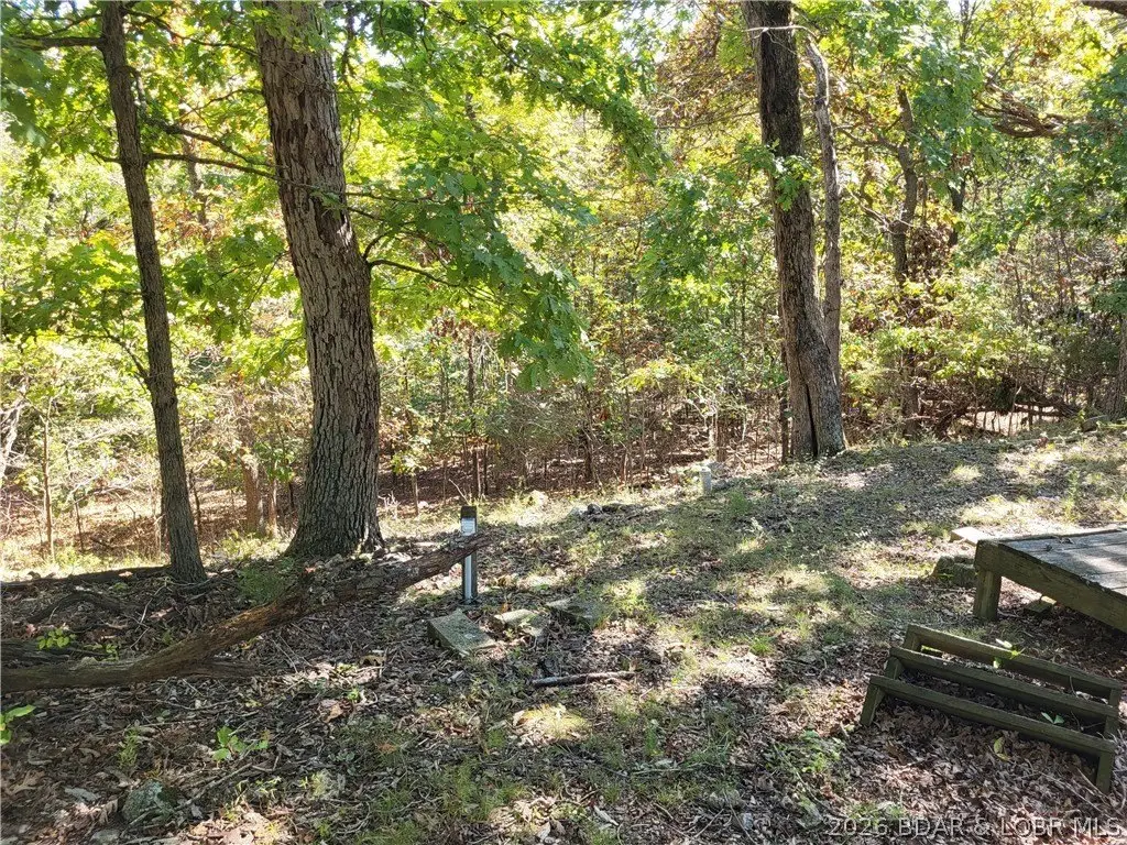 Picture 12