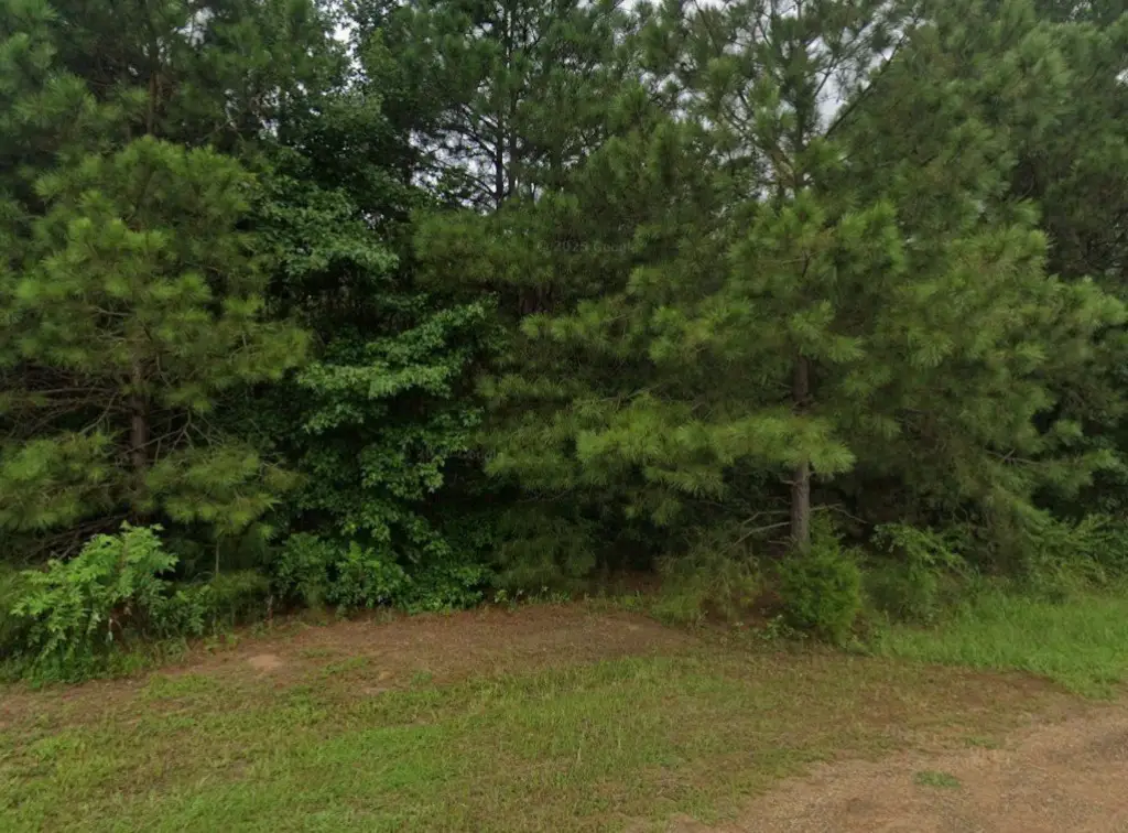 Picture 4