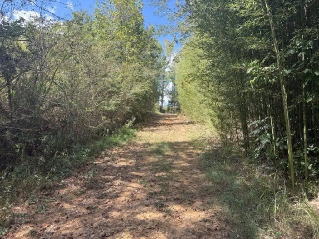 Picture 28