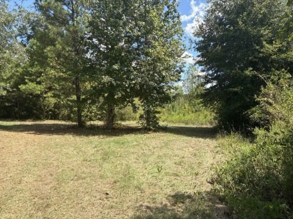 Picture 22