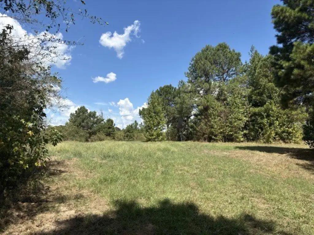 Picture 21