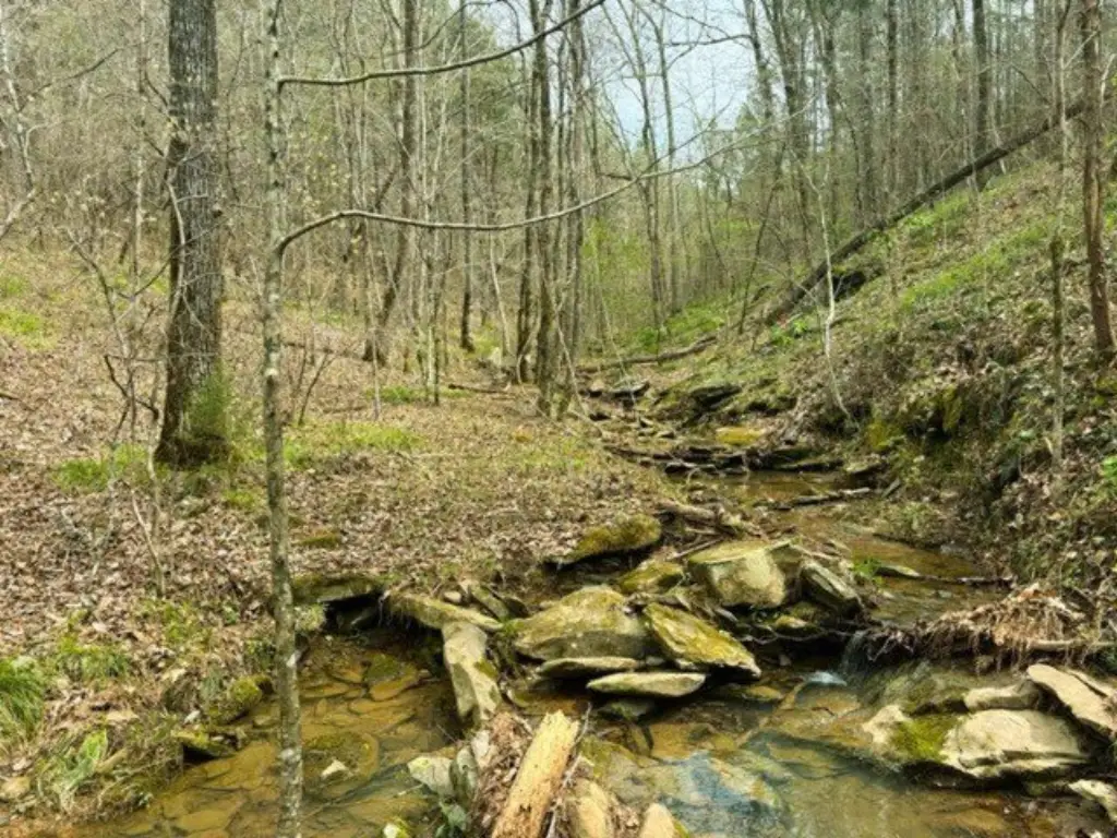 Picture 14