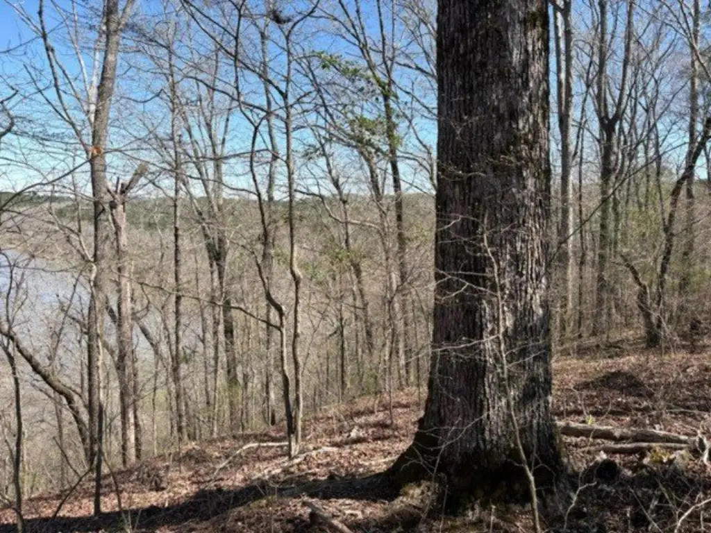 Picture 9