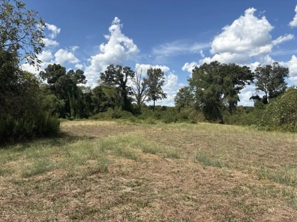 Picture 19