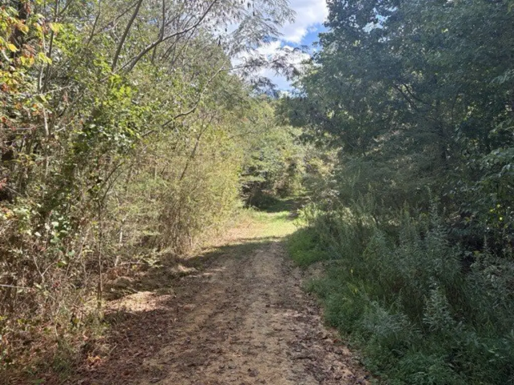 Picture 26