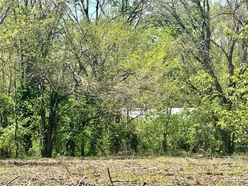 Picture 4