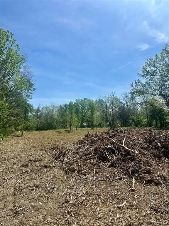 Picture 10