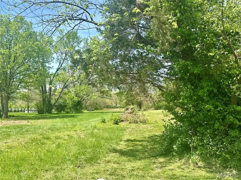 Picture 14