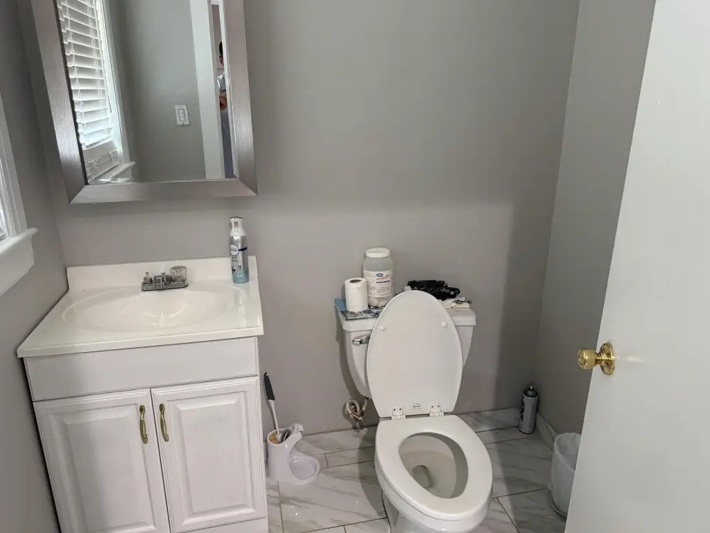 Picture 12