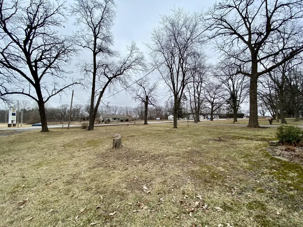 Picture 29