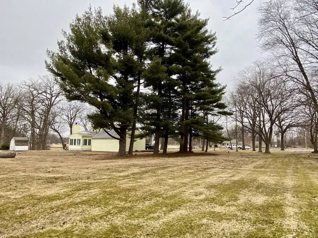 Picture 21