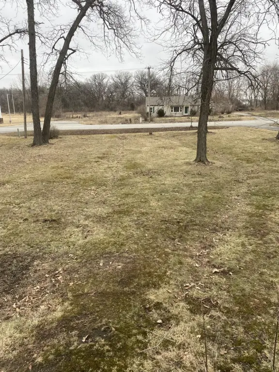 Picture 25