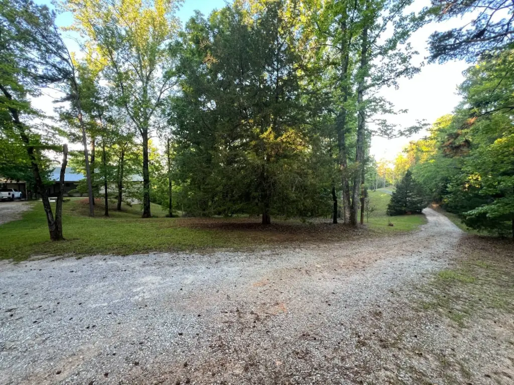 Picture 5