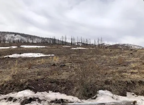 Mountain Land with Meadow Views