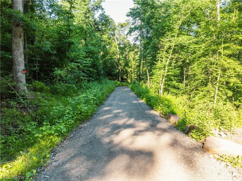 Picture 20