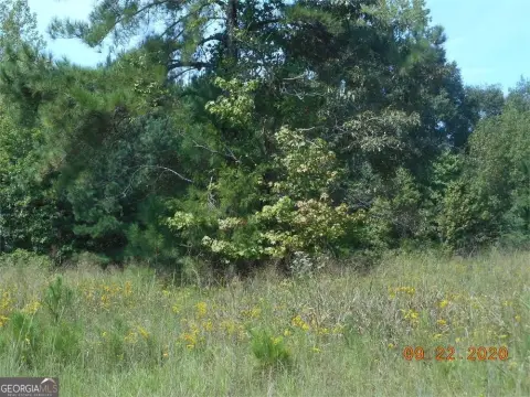Greensboro, GA Land For Sale