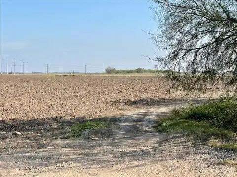 Irrigated Farmland in Progreso, TX