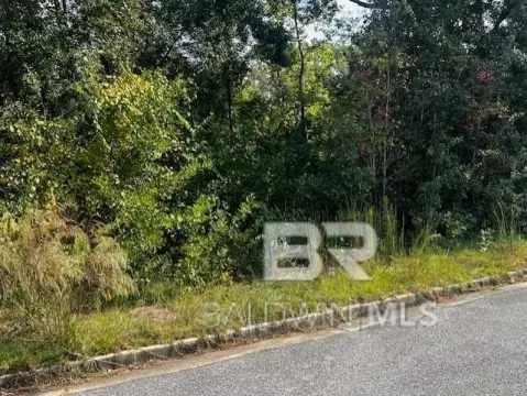 Residential Lots in Established Neighborhood