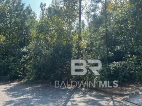 Residential Lot in West Mobile