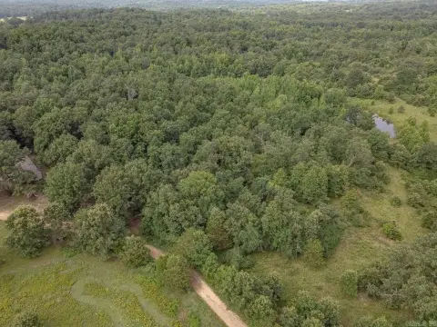 Maynard, AR Timberland Acreage