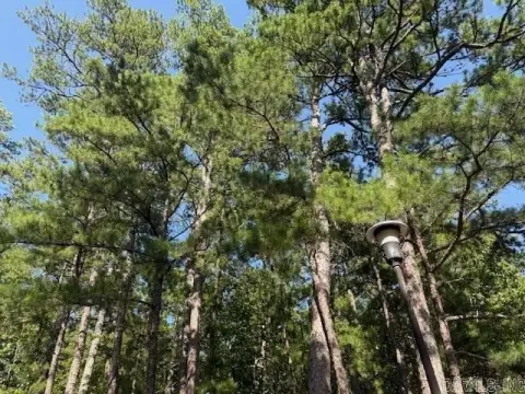 Residential Lot in Hot Springs